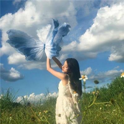 我家娶了花木兰